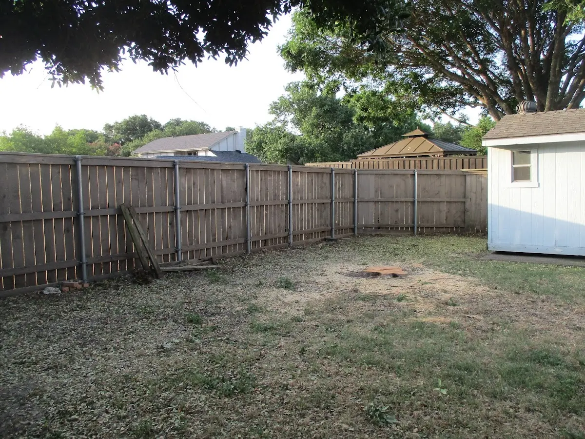 Cleared yard after professional tree removal in Sparta