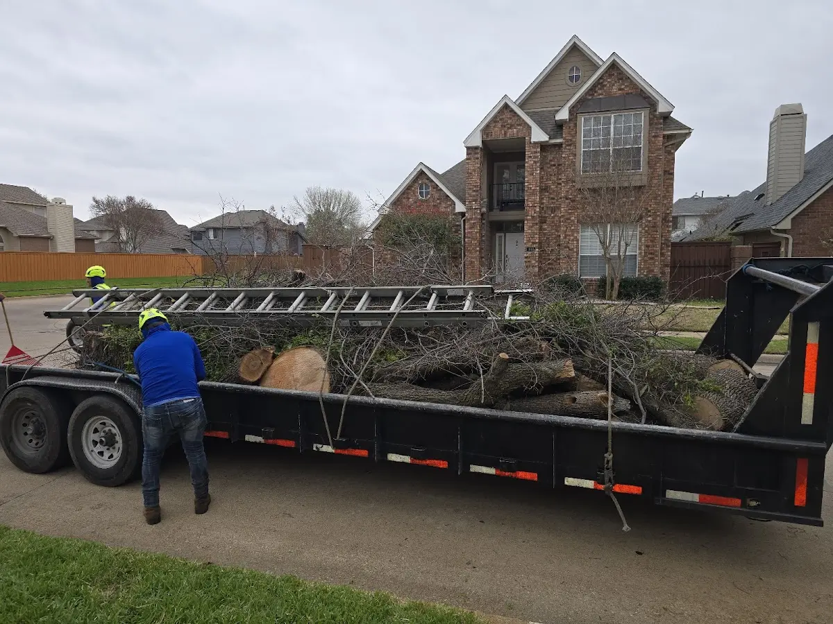 Expert Tree Pest Control with proper safety equipment in Sparta